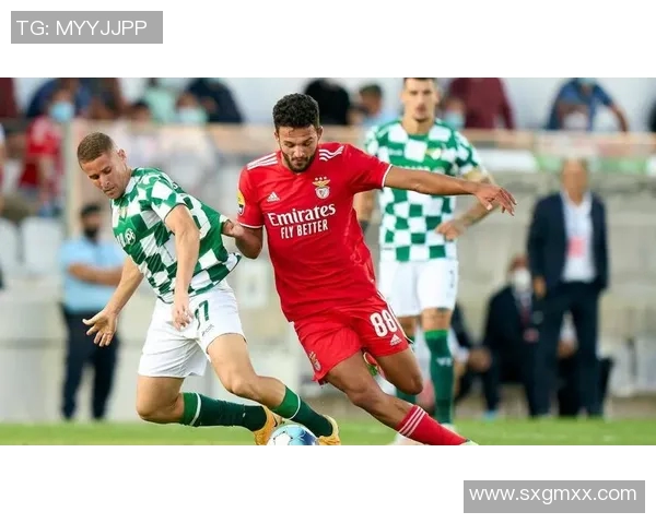 法国与爱尔兰精彩对决直播信息全解析，尽在此处，快来一起关注吧