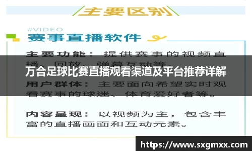 优游国际全站